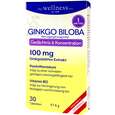 GINKGO BILOBA + B-VITAMINE, A-Nr.: 4899411 - 01