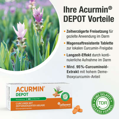 Acurmin DEPOT – Curcumin mit zeitverzögerter Abgabe – Lokale Freisetzung im Magen-Darm-Bereich, A-Nr.: 5895645 - 03