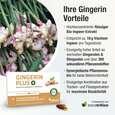 Ingwer Kapseln - Bio Ingwer-Extrakt - flüssig - Gingerol &amp; Shogaol hochdosiert, A-Nr.: 5037083 - 03