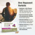 Cholin Kapseln – Mariendistel Artischocke Löwenzahn – hoch bioverfügbar – mit Cholin zur Erhaltung der Leberfunktion, A-Nr.: 5895711 - 03