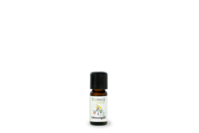 Sie sehen eine Packung homedi-kind® Zahnungsöl, Produktbild: 01 homedi-kind® Zahnungsöl, A-Nr.: 4090827 - 01