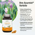 Bio Kurkuma Kapseln – 40-fache Bioverfügbarkeit ohne Pfeffer – 100% natürliches Vollspektrum Kurkuma, A-Nr.: 5614178 - 03
