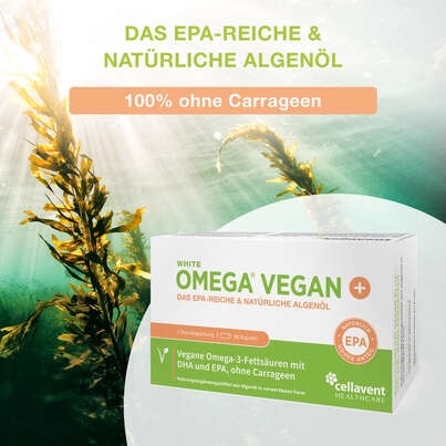 Algenöl Kapseln – veganes Omega-3 – ohne Carrageen – 330 mg DHA aus Algen – 90 Mini-Kapseln (1 Monat), A-Nr.: 5895852 - 02