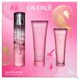 Sie sehen eine Packung Caudalie Xmas/23 Rose De Vigne 130ml, Produktbild: 01 Caudalie Xmas/23 Rose De Vigne 130ml, A-Nr.: 5761005 - 01