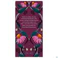 Bio Pukka Night Time Berry 20 Filterbeutel, A-Nr.: 5423633 - 06