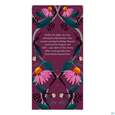 Bio Pukka Night Time Berry 20 Filterbeutel, A-Nr.: 5423633 - 07