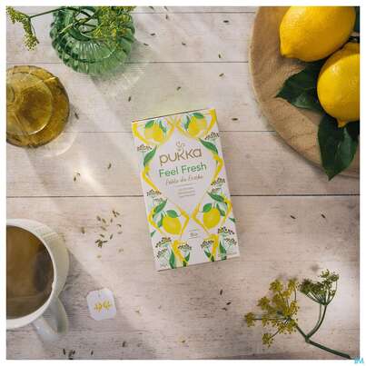 Bio Pukka Feel Fresh 20 Filterbeutel, A-Nr.: 5423656 - 09