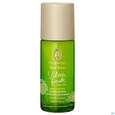 Primavera Lebensfreude Frischedeo 50ml, A-Nr.: 5732653 - 02
