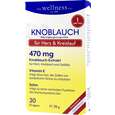 Sie sehen eine Packung Wellness Knoblauch, Produktbild: 01 Wellness Knoblauch, A-Nr.: 2331497 - 01