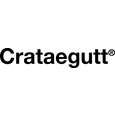 Sie sehen eine Packung Crataegutt® Flüssigkeit zum Einnehmen, Produktbild: 06 Crataegutt® Flüssigkeit zum Einnehmen, A-Nr.: 4210272 - 06