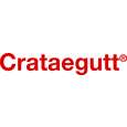 Sie sehen eine Packung Crataegutt® Flüssigkeit zum Einnehmen, Produktbild: 05 Crataegutt® Flüssigkeit zum Einnehmen, A-Nr.: 4210295 - 05