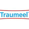 Sie sehen eine Packung Traumeel®-Gel, Produktbild: 05 Traumeel®-Gel, A-Nr.: 3927418 - 05