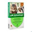 Sie sehen eine Packung Advantage lösung Z Auftragen Auf D.haut F Katzen U Zierkaninchen 40mg Kl.0,4ml Bis 4kg 4st, Produktbild: 02 Advantage lösung Z Auftragen Auf D.haut F Katzen U Zierkaninchen 40mg Kl.0,4ml Bis 4kg 4st, A-Nr.: 4472285 - 02