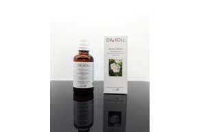 Sie sehen eine Packung Gemmoextrakt Heckenrose, Produktbild: 01 Gemmoextrakt Heckenrose, A-Nr.: 5238597 - 01