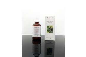 Sie sehen eine Packung Gemmoextrakt schwarze Johannisbeere, Produktbild: 01 Gemmoextrakt schwarze Johannisbeere, A-Nr.: 5238580 - 01