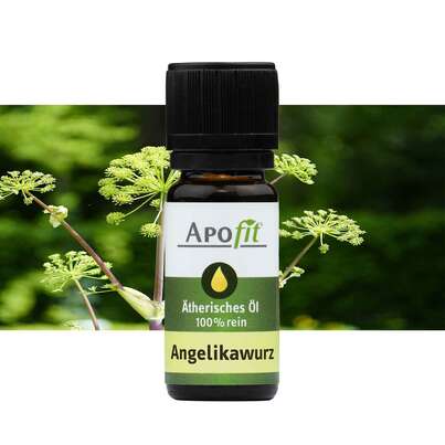 APOfit Ätherisches Öl Angelikawurzel 1ml, A-Nr.: 1994439 - 03