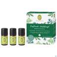 Primavera Set Duftende Waldkraft 1st, A-Nr.: 5373361 - 05