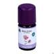 Taoasis Baldini Duftkomposition Wellness 5ml, A-Nr.: 5383980 - 01