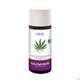 Taoasis Hanf Basisöl Bio 50ml, A-Nr.: 3163820 - 03