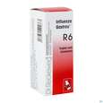 Reckeweg Gastreu Tropfen Influenza R6 50ml, A-Nr.: 1294860 - 02