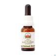 Sie sehen eine Packung Aub Red Helmet Orchid, Produktbild: 03 Aub Red Helmet Orchid, A-Nr.: 2627275 - 03