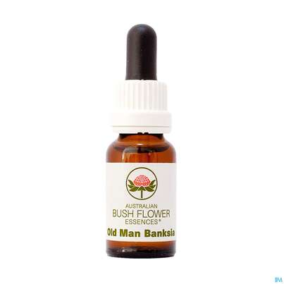 Sie sehen eine Packung Aub Old Man Banksia, Produktbild: 03 Aub Old Man Banksia, A-Nr.: 2627200 - 03