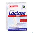 Sie sehen eine Packung Lactase Tabl 14.000 Fcc 80st, Produktbild: 03 Lactase Tabl 14.000 Fcc 80st, A-Nr.: 5296258 - 03