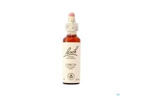 19 Larch20 ml, A-Nr.: 4088859 - 01