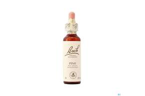 24 Pine20 ml, A-Nr.: 4088902 - 01