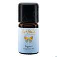 Aetherische Oele Farfalla Bio Grand Cru Ingwer 5ml, A-Nr.: 4865961 - 01