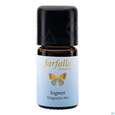 Aetherische Oele Farfalla Bio Grand Cru Ingwer 5ml, A-Nr.: 4865961 - 02