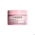 Sie sehen eine Packung Caudalie Resveratrol/lift Kraeuternachtcreme 50ml, Produktbild: 08 Caudalie Resveratrol/lift Kraeuternachtcreme 50ml, A-Nr.: 4363975 - 08