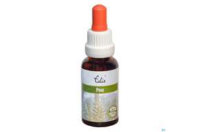 Edis Bio 24 Pine Alkoholfrei 20ml, A-Nr.: 4107717 - 01