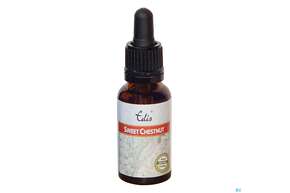 Edis Bio 30 Sweet Chestnut 20ml, A-Nr.: 4108220 - 01