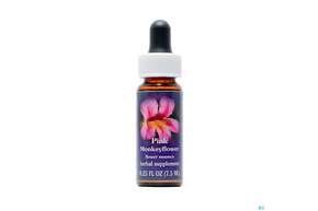 Fes Pink Monkeyflower 7,5ml, A-Nr.: 2154546 - 01