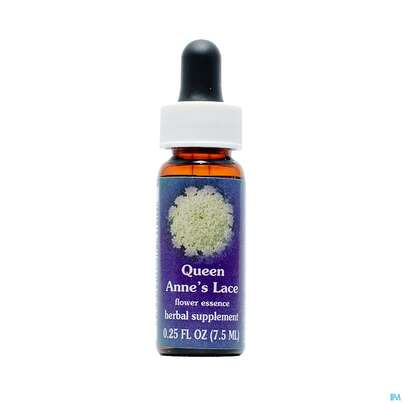 Fes Queen Anne&#039;s Lace 7,5ml, A-Nr.: 2154687 - 01