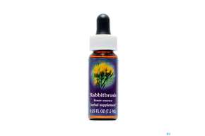 Fes Rabbitbrush 7,5ml, A-Nr.: 2154724 - 01