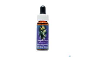 Fes Sagebrush 7,5ml, A-Nr.: 2154813 - 01