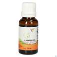 Gall Pharma Kampferöl Embamed, A-Nr.: 5074032 - 01