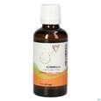 Gall Pharma Kümmelöl Embamed, A-Nr.: 5038467 - 01