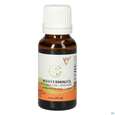 Gall Pharma Pfefferminzöl Embamed, A-Nr.: 5038556 - 01
