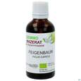 Gemmo Mazerat Bio Phytoaustria Feige Ficus Carica 50ml, A-Nr.: 4597271 - 01