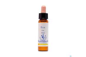 Healing Herbs 11 Elm 10ml, A-Nr.: 2186138 - 01