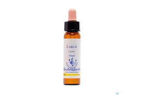 Healing Herbs 19 Larch 10ml, A-Nr.: 2186322 - 01