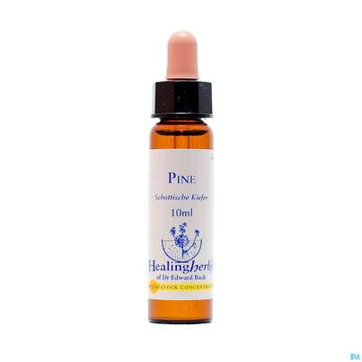 Healing Herbs 24 Pine 10ml, A-Nr.: 2186428 - 01