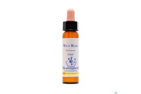 Healing Herbs 37 Wild Rose 10ml, A-Nr.: 2186701 - 01