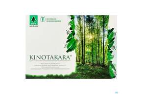 Kinotakara Vitalpads 10st, A-Nr.: 2859293 - 01