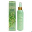 L Erbolario Koerperlotion Albero Di Giada Jade 026.2 200ml, A-Nr.: 5167762 - 03