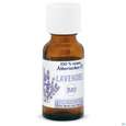 Sie sehen eine Packung Lavendel Oel Bio 20ml, Produktbild: 01 Lavendel Oel Bio 20ml, A-Nr.: 5175193 - 01