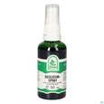 Pater Severin Basilicum Spray, A-Nr.: 5613919 - 02